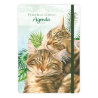 Franciens Katten Gebonden weekagenda  BOSKAT KITTENS 2023