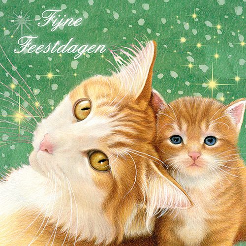 923530_Kerstkaart1