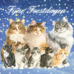 Franciens Katten kerstboxje KERSTNACHT-KATTENFAMILIE