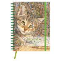 Franciens Katten Ringband bureau-agenda EVI (zachte kaft) 2026