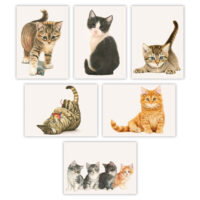 Franciens Katten Set van 6 wenskaarten (set 1)