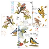 Setje wenskaarten VOGEL