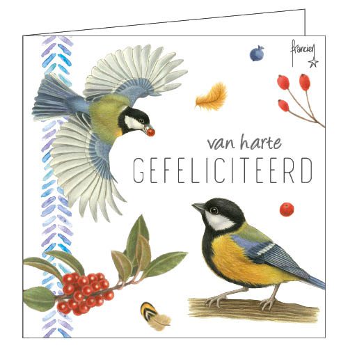 KaartensetVogels_4stuks_2