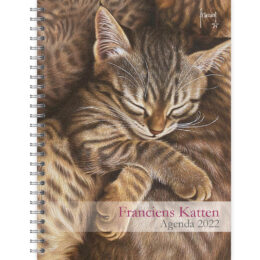 Franciens Katten bureau-agenda KITTEN 2022