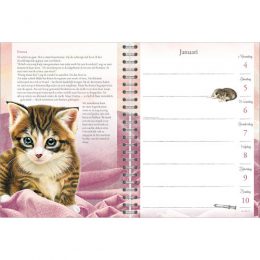 Franciens Katten bureau-agenda Ragdoll 2021
