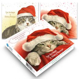Franciens Katten kerstboxje KERSTMUTS