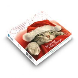 Franciens Katten kerstboxje KERSTMUTS