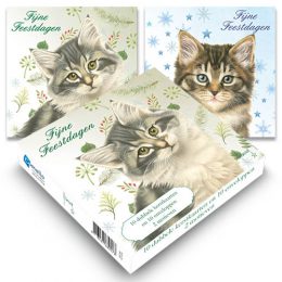 Franciens Katten kerstboxje BOSKITTENS MET DENNETAK EN STERREN
