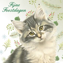 Franciens Katten kerstboxje BOSKITTENS MET DENNETAK EN STERREN