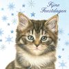 923532_Kerstkaart6