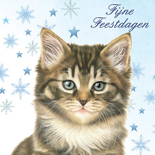 923532_Kerstkaart6