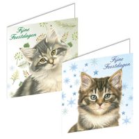Franciens Katten kerstboxje BOSKITTENS MET DENNETAK EN STERREN