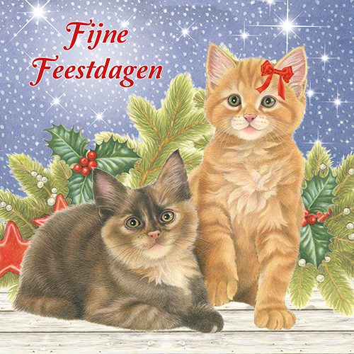 923533_Kerstkaart7