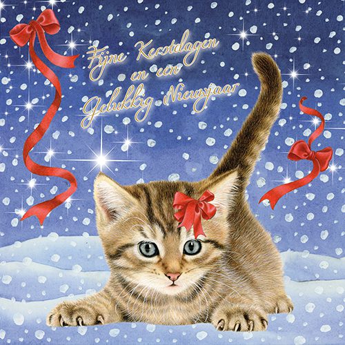 923533_Kerstkaart8