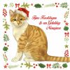 923534_Kerstkaart10