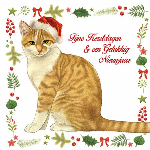 923534_Kerstkaart10