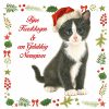923534_Kerstkaart9