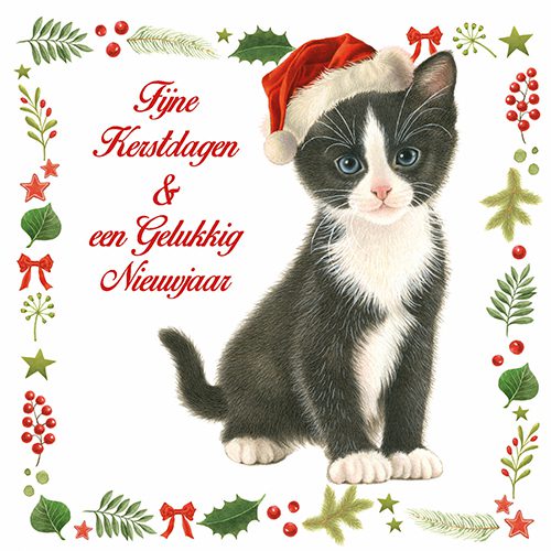 923534_Kerstkaart9