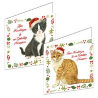 Franciens Katten kerstboxje KAT EN KITTEN MET KERSTMUTS IN KERSTKADER