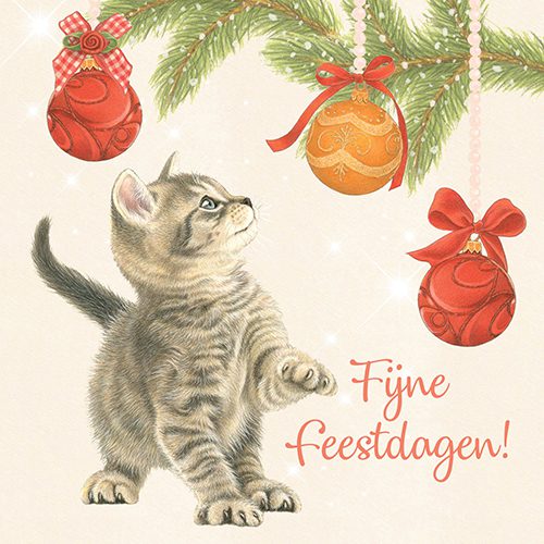 923535_Kerstkaart11