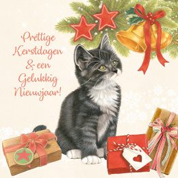 Franciens Katten kerstboxje KITTEN MET KERSTBALLEN KERSTKLOKJE