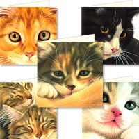 Franciens katten kaartenmapje CLOSE UP