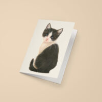 Franciens Katten wenskaart ZWART WIT KITTEN