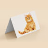 Mockups Design