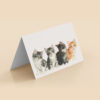 Mockups Design