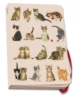 Franciens katten briefpapier met notitieboekje