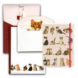 Franciens katten briefpapier met notitieboekje