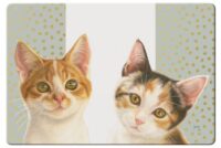 Franciens Katten Placemats -4 stuks-