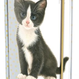 Franciens Katten A5 notitieboekje