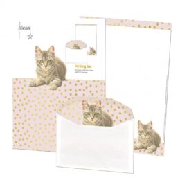 Franciens Katten briefpapier met enveloppen Kittens