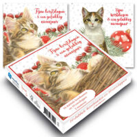 Franciens Katten kerstboxje Kitten met kerstbal – Kitten in mand