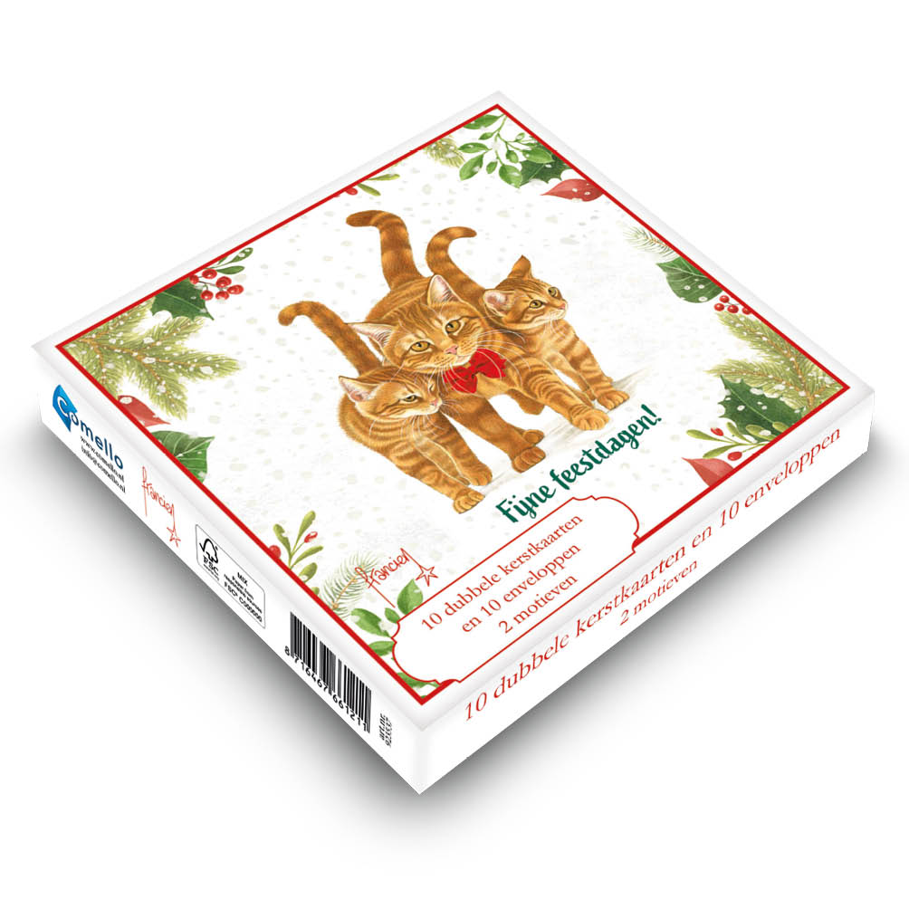 Franciens Katten kerstboxje Kat met kerstmuts – kat met strikje