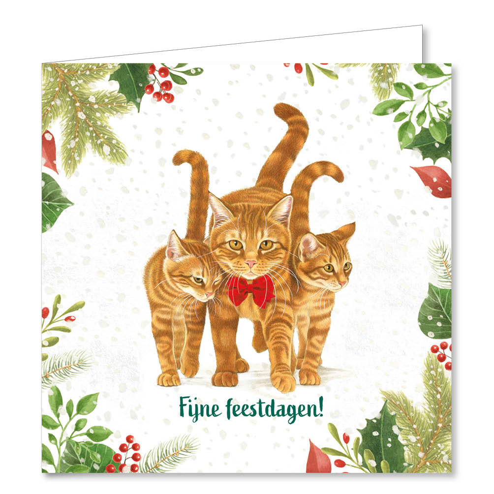 Franciens Katten kerstboxje Kat met kerstmuts – kat met strikje