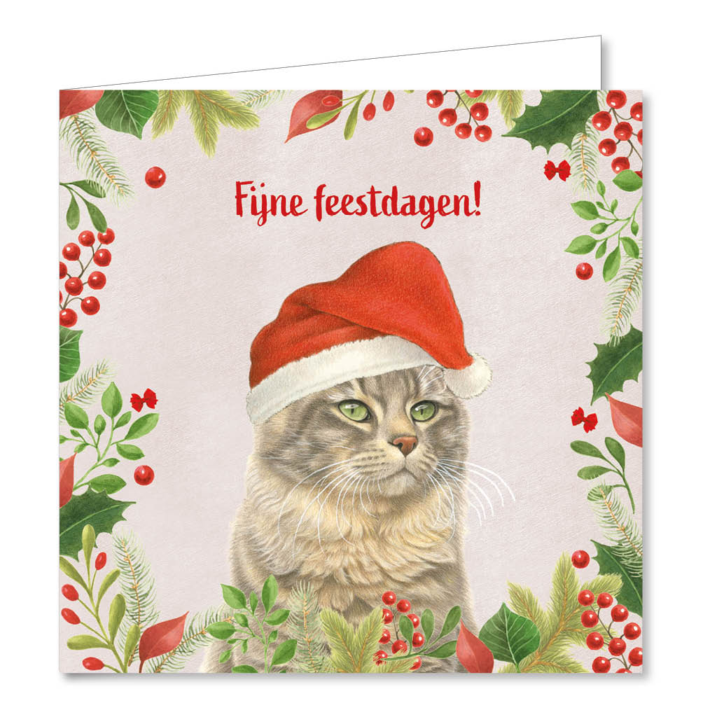 Franciens Katten kerstboxje Kat met kerstmuts – kat met strikje