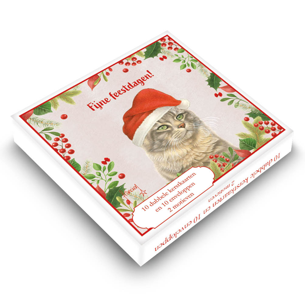 Franciens Katten kerstboxje Kat met kerstmuts – kat met strikje