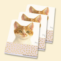 Franciens Katten set van 3 schriften