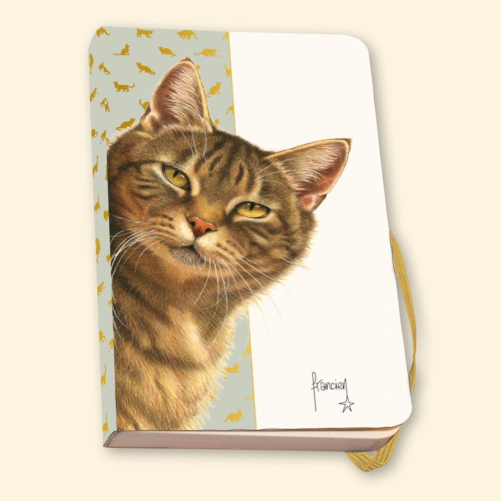 Franciens Katten briefpapier met notitieboekje