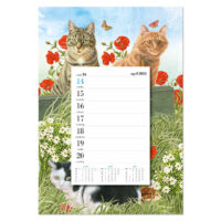 Franciens Katten Weeknotitiekalender op schild  KLAPROOS 2024
