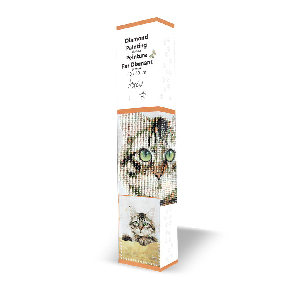 Franciens Katten Diamond Painting