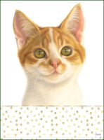 Franciens Katten Poster