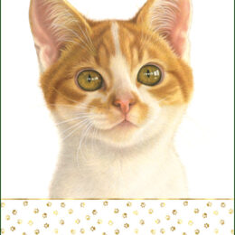 Franciens Katten Poster