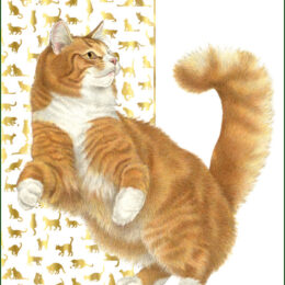Franciens katten poster