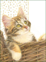 Franciens Katten Poster