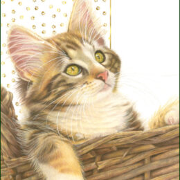 Franciens Katten Poster