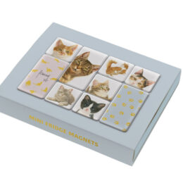 Franciens Katten set koelkastmagneetjes