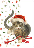 Franciens Katten wenskaart KERST